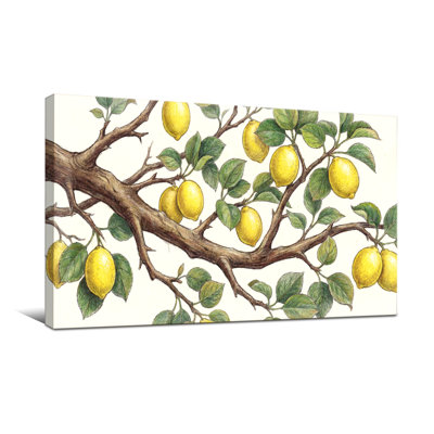 Plantes et fleurs branche de citronnier avec feuilles vertes
