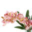 Arrangement d'orchidées dans un vase miroir-884489741