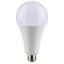 36 Watt LED Bulb-891380504