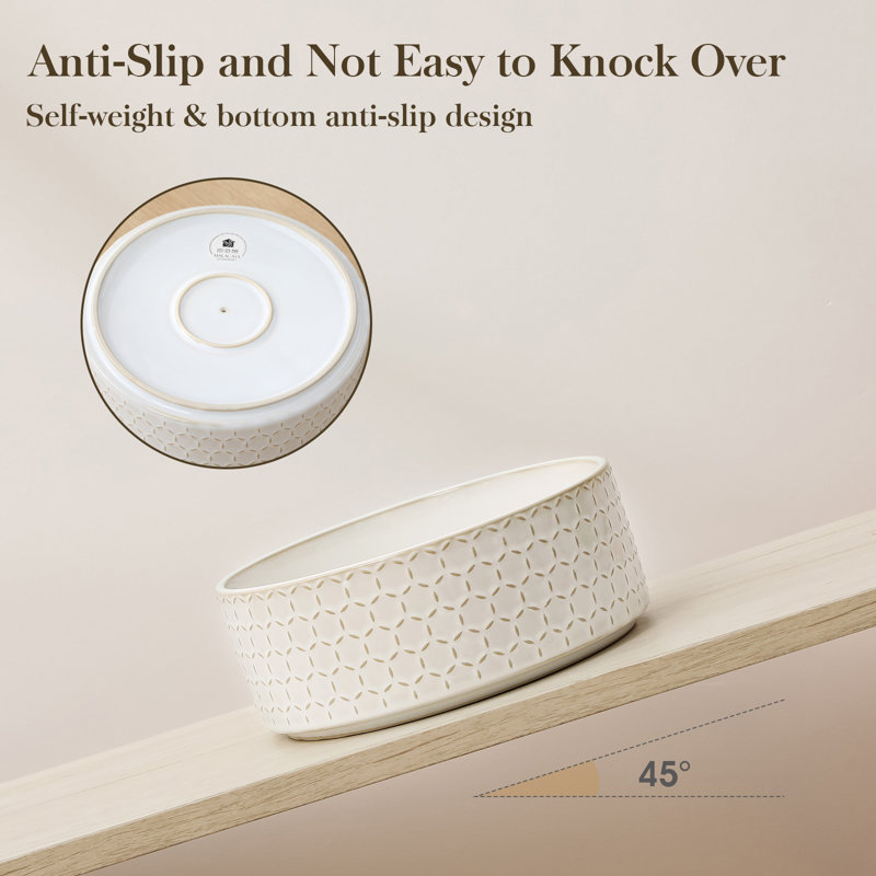 Anti-Skid Pet Bowl