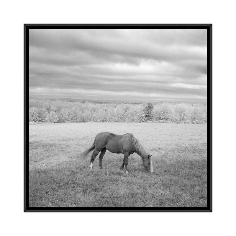 « solitaire », photographie sur toile, H 18 po x l 18 po x P 1,5 po, Toile encadrée noire, Pas de tapis
