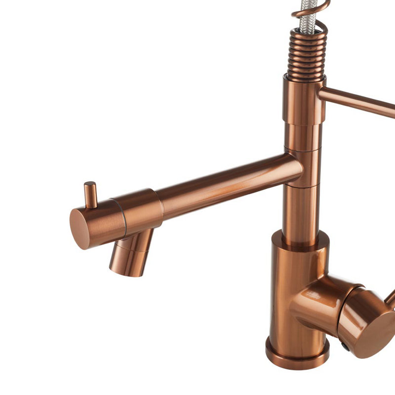 Belfry Kitchen Marhta Kitchen Faucet, Rose 