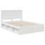 Solid Wood Bed-781924515-781924518