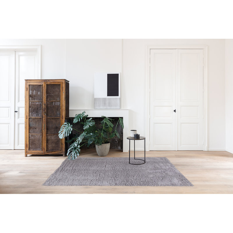 Decoste Hand Woven Area Rug, Rectangle 200 x 300cm