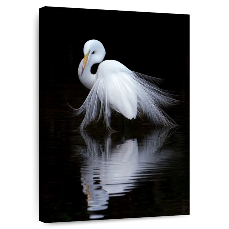 Brampt Egret Bird Watching, 12" H x 8" W