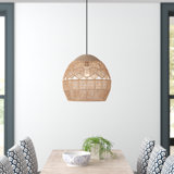 Luminaire suspendu 15,5 po Ames