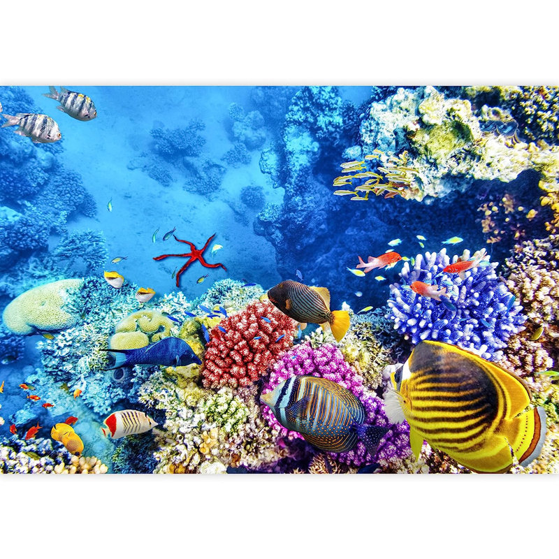 Nautical Ocean Peel & Stick Border, 66" L x 96" W