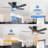 Rita 42" 5-Blade Modern Ceiling Fan Light With 6-Speed Adjustable Wind Speed-1188762783