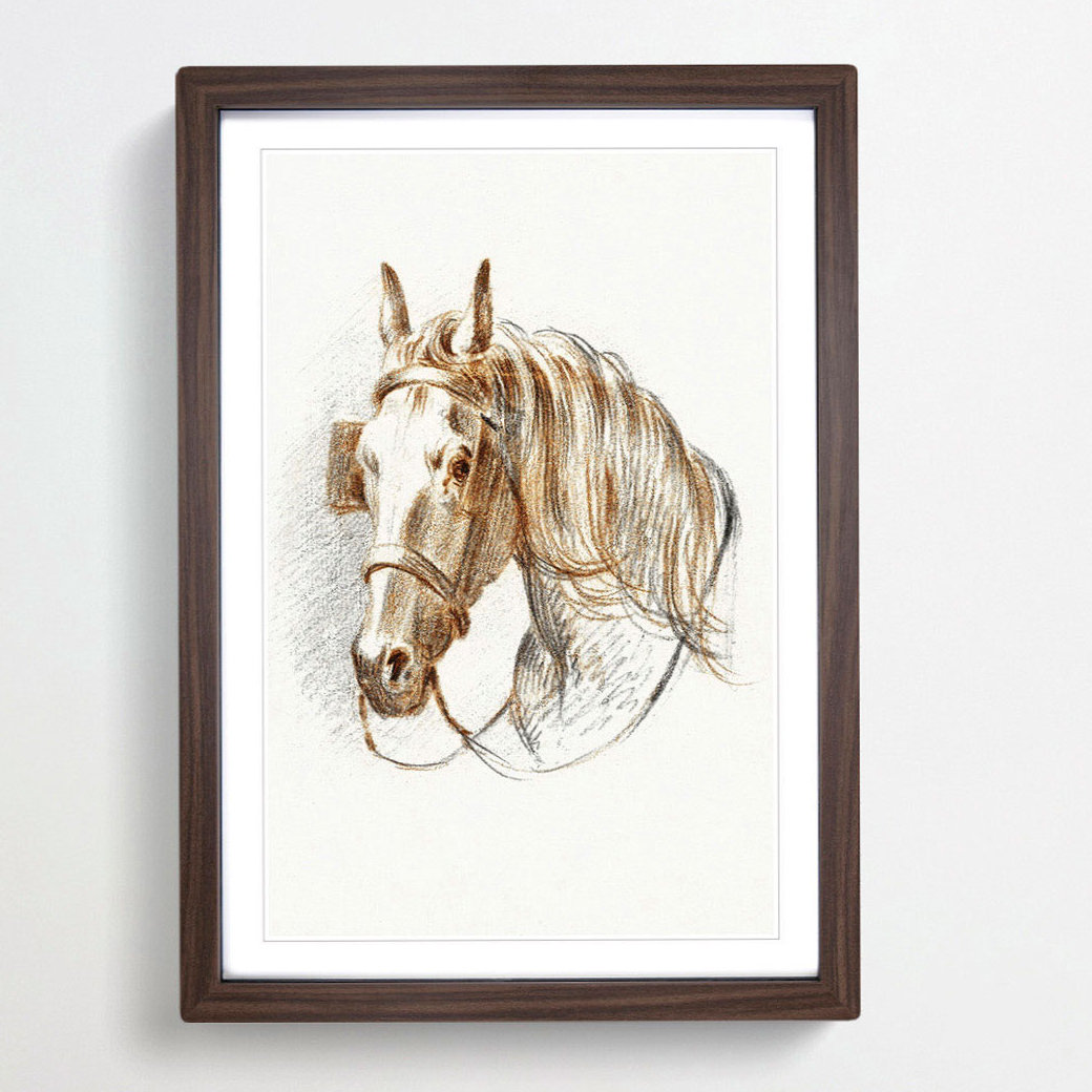 Head of a Horse with Blinkers by Jean Bernard - Picture Frame Drawing Print