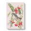 Piping Flycatcher Bird by John Audubon - Wrapped Canvas-55324749