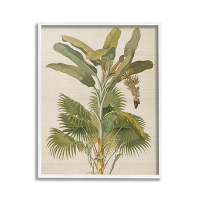Rétro, plante tropicale, giclée, art par Ambre