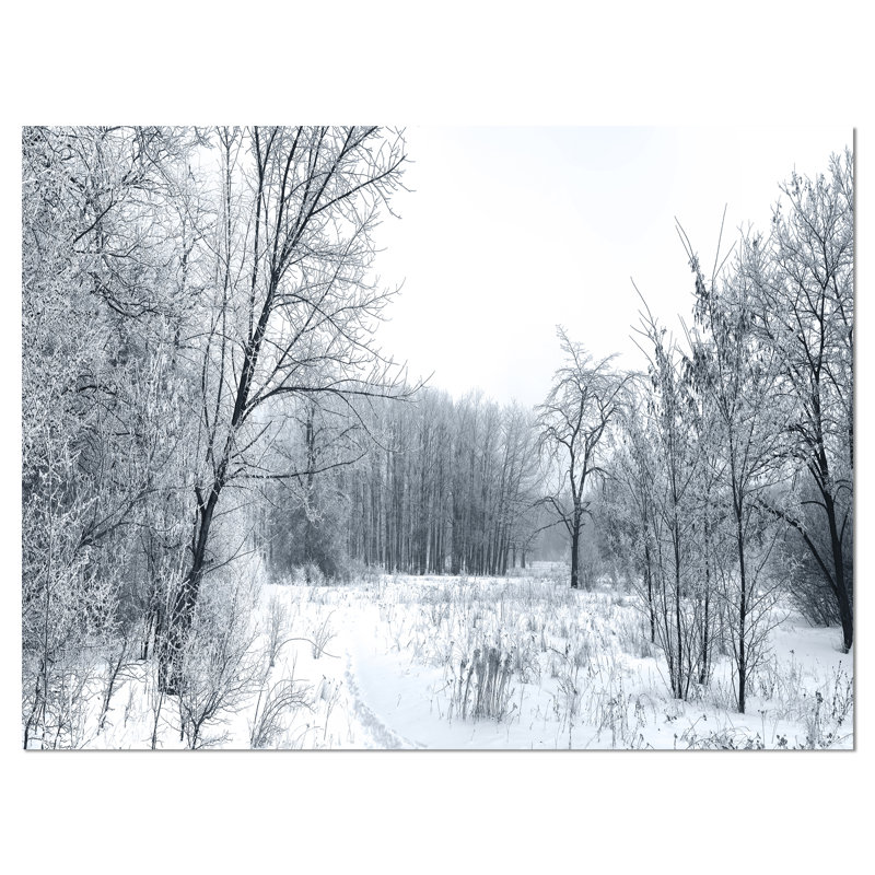 « belle hiver panorama », impression sur toile tendue, H 30 po x l 40 po x P 1 po