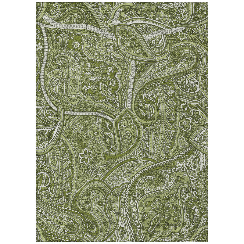 Washable Paisley Indoor / Outdoor Rug, Rectangle 9' x 12'