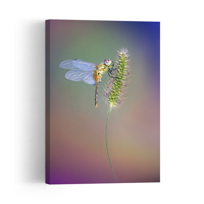 Colorful Dragonfly Perched Colorful Delicate Peaceful Dragonfly Nature Plant Wall Art Print 1 Piece Wrapped Canvas Wall Art