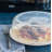 Nordic Ware Microwave 10 in. Plastic Cover