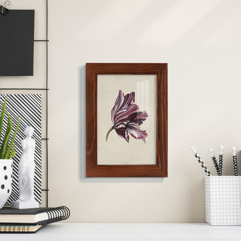 Antique Tulip Study III - Impression encadrée avec verre, H 6 po x l 4 po x P 1 po, Châtaigne