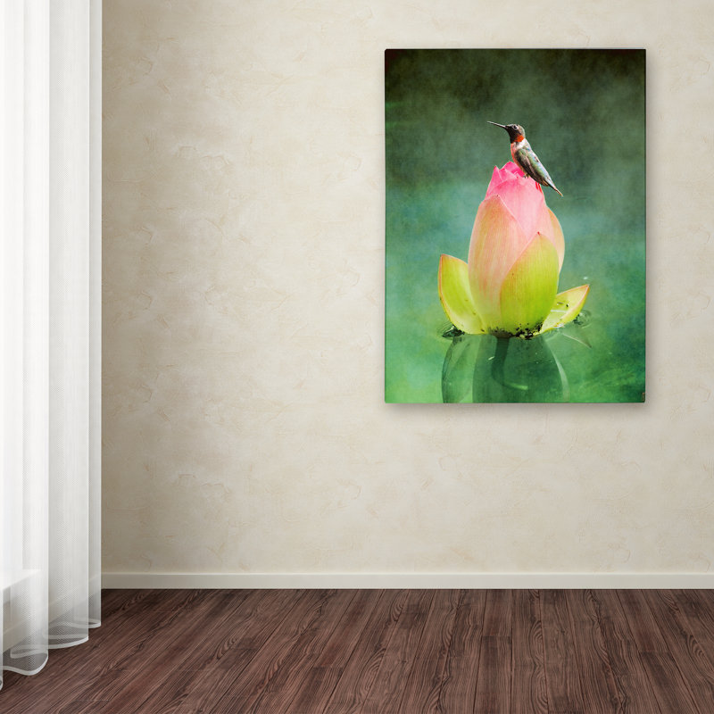 Vidur «Hummingbird and the Lotus Flower», impression sur toile tendue, H 19 po x l 14 po
