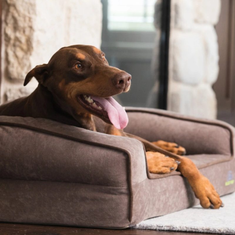Lit pour chien Crown Bolster, Moyen (l 33 po x P 24 po x H 9 po), Mocha glacé