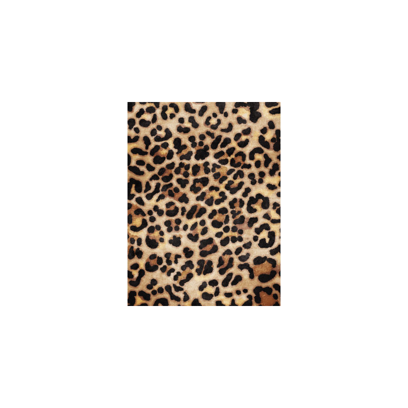 Wrapped Canvas Print, 50.8 cm H x 76.2 cm W
