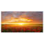 «Poppy Field Under Bright Sunset», reproduction de photo-2035798545-2035798546