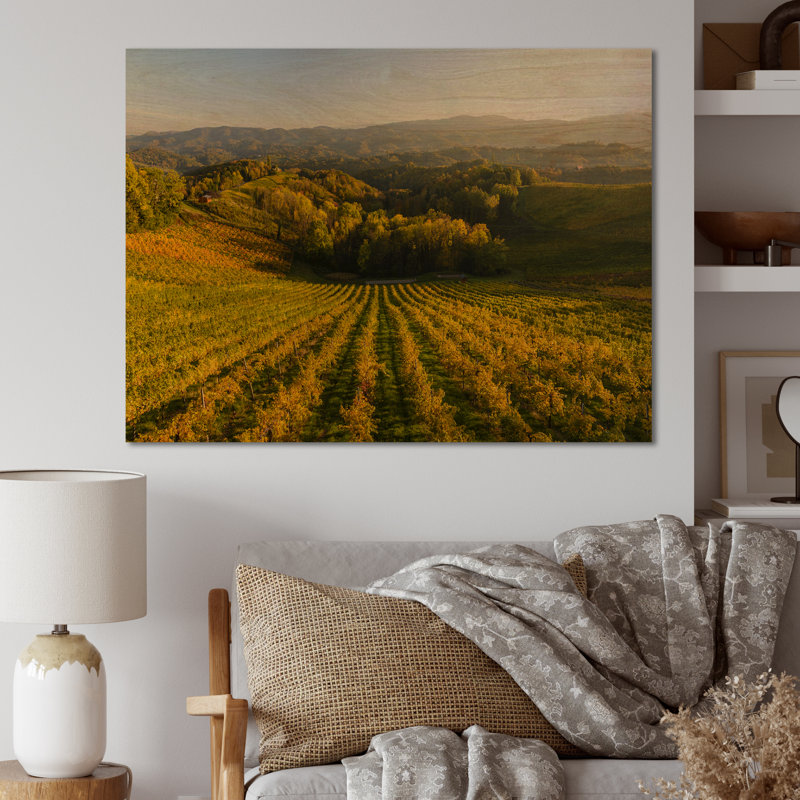 Vineyard Sunset Landscape - Décoration murale traditionnelle sur toile, H 8 po x l 12 po x P 1 po, Toile avec cadre noir