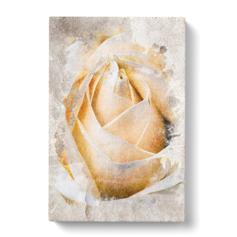 A Peach Yellow Rose In Abstract - Wrapped Canvas, 60cm H x 40cm W x 3cm D