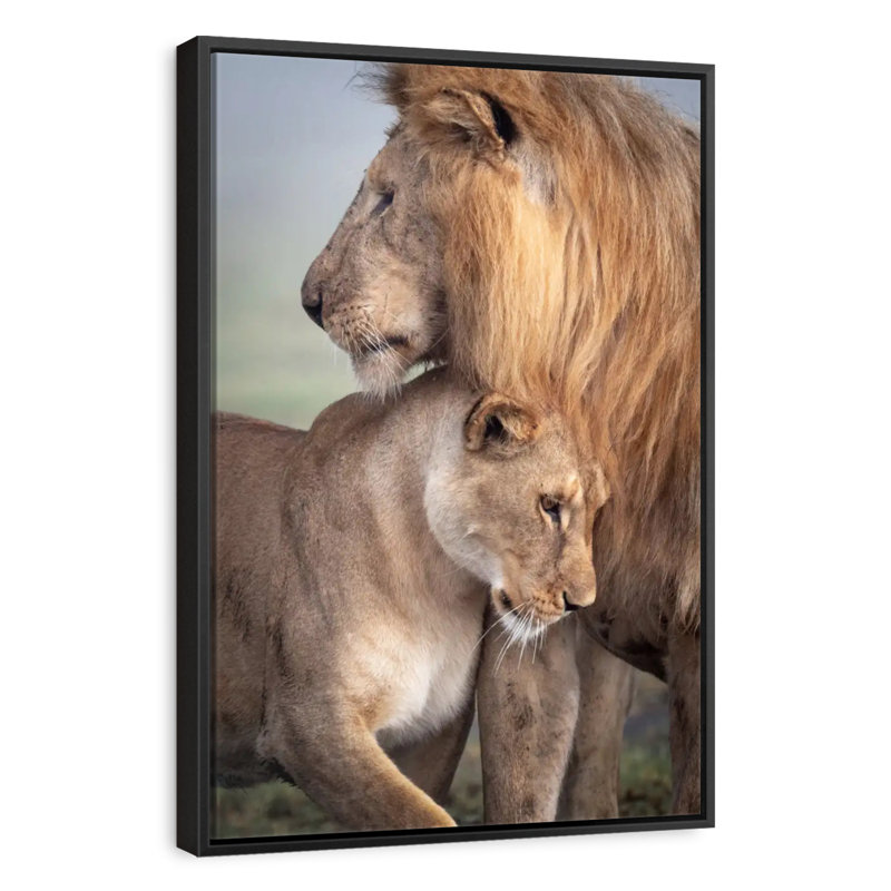 Wild Love, 25" X 37", Floating Frame Black
