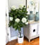 Hydrangea Drop-In Tree