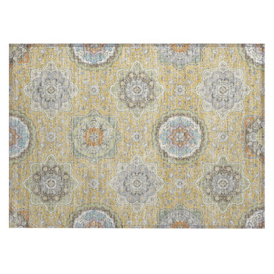 Machine Washable Indoor/Outdoor Chantille ACN2667 Global Rug