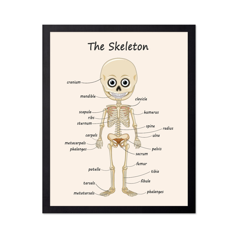 Le squelette, Unframed, Poster, 16"H x 20"W