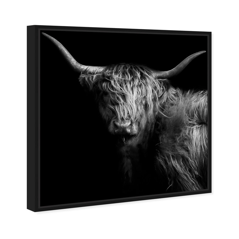 Realistic Black And White Highland Cow Photography Print by Oliver Gal, Black Floater Framed, 21" H x 21" W