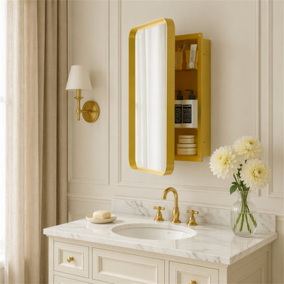 Armoire à pharmacie encastrée en métal 20 po x 30 po avec miroir et tablettes réglables