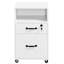40cm Wide 2 -Drawer Mobile File Cabinet-1120786592