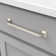 Forge 7 9/16" Center to Center Bar Pull Multipack