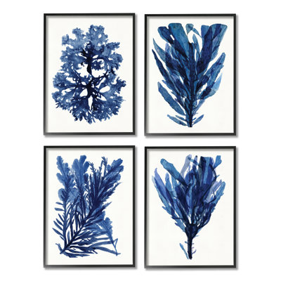 Varech bleu océan