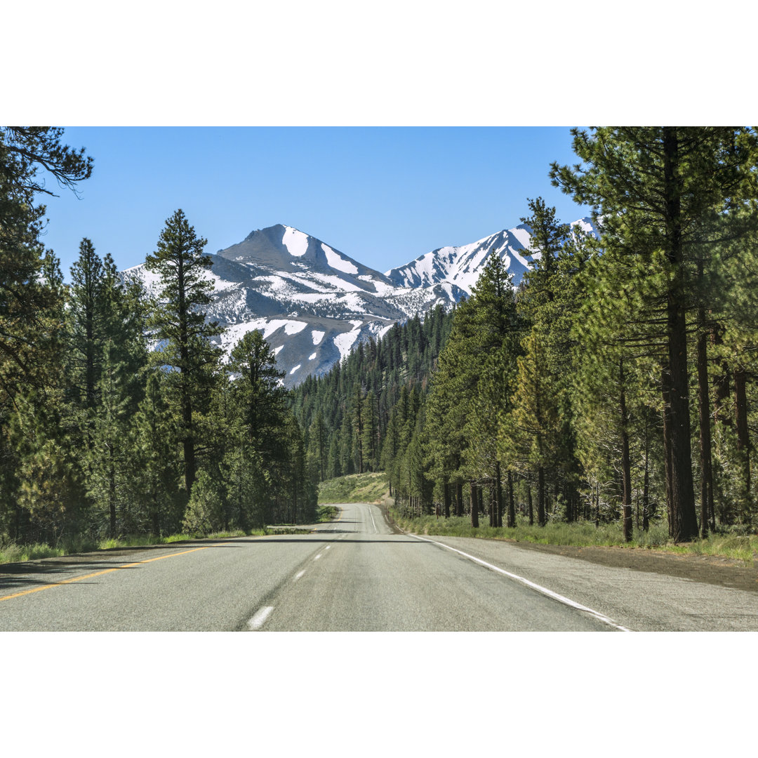 Highway 395 South von CampPhoto - Kunstdrucke auf Leinwand ohne Rahmen