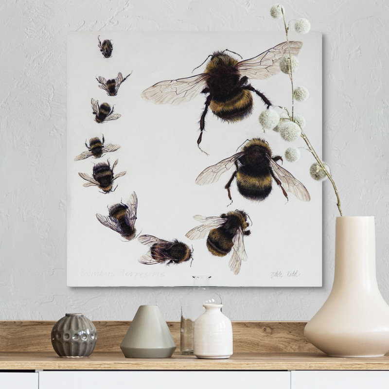 Bombus, 2015 - reproduction d'art, H 16 po x l 16 po x P 1,25 po, Toile tendue
