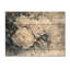 Pivoine enneigée II - Décoration murale en bois pivoines - sur bois de pin naturel-1476902378