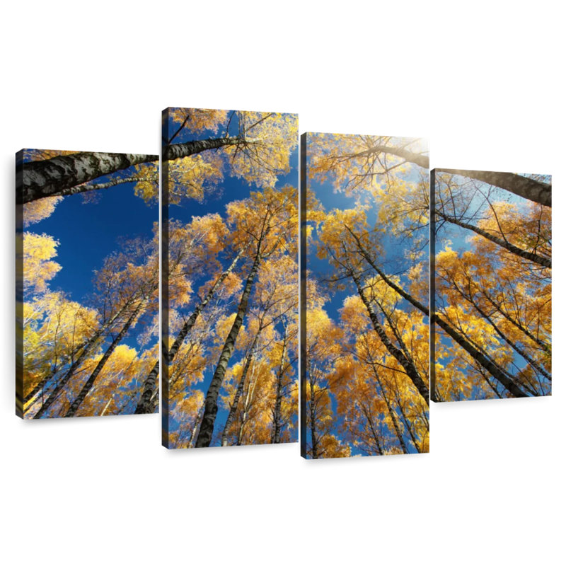 Harnek Sun Above Fall Trees