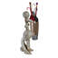 Statue caniche Caniche Chien Paris