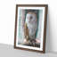 Barn Owl Vol.7 - Picture Frame Painting-62747837-62747838