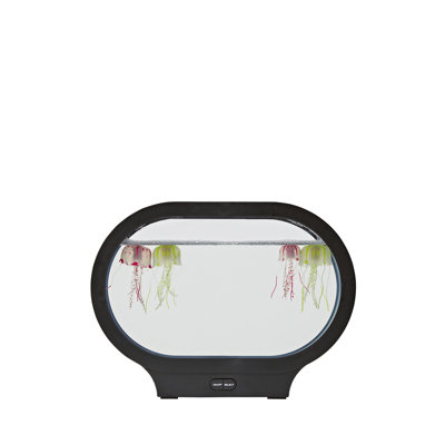 Keewatin 23 cm Jellyfish Lamp