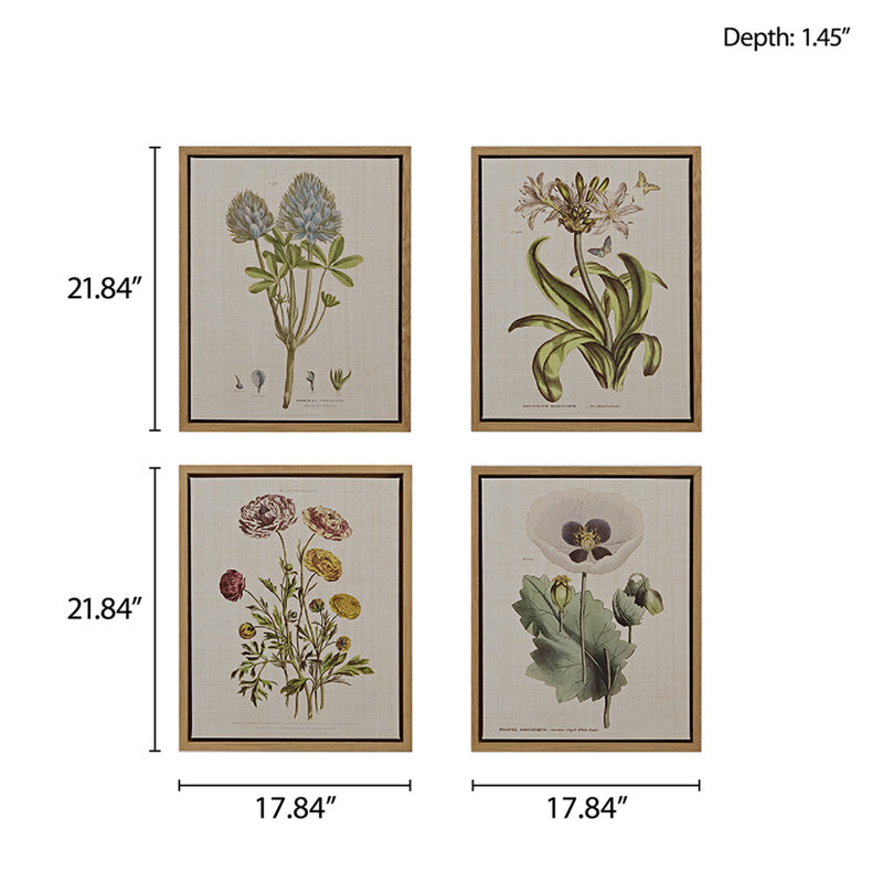 Herbal Botany 4-Piece Framed Canvas Wall Art Set with Botanical Illustrations