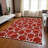 Alegandro Area Rug with Non-Slip Backing-1310856394