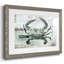 Neutre crabe I - impression d'un seul cadre photo-1758316490