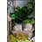 8.3x7x4.7" Decorative Sand and Cement Snail Planter with Textured Beige Finish