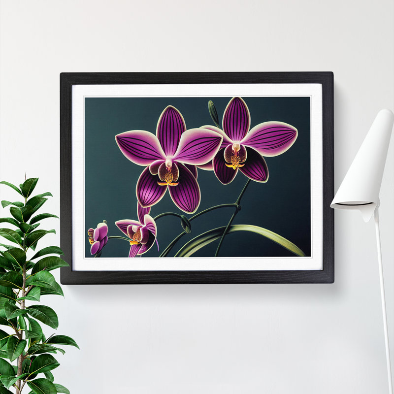 Thrilling Orchid Flowers 1 Piece Single Picture Frame Wall Art, 46cm H x 64cm W x 2cm D, Black Framed