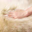 Tapis jaune en fausse peau de mouton à poils longs-746045858