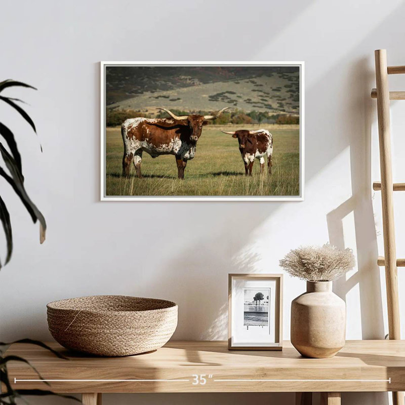Texas Longhorn et son mollet, 19 po x 13 po, Cadre flottant blanc