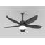 Ensemble d'éclairage pour ventilateur de plafond extérieur de 42 pouces avec télécommande
